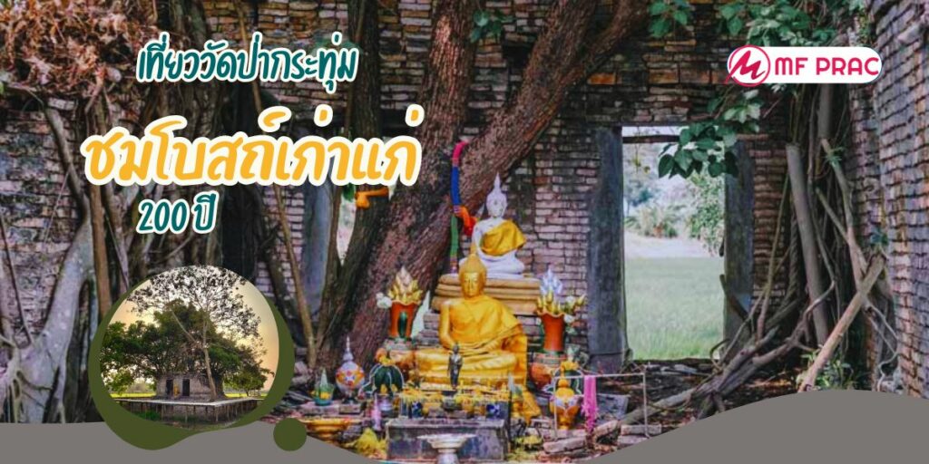 วัดป่ากระทุ่ม