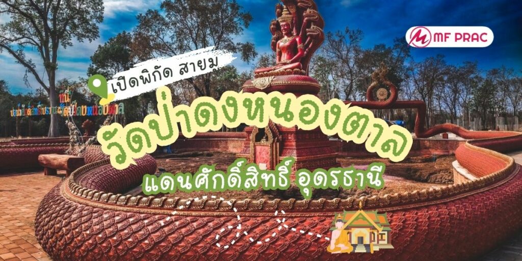 วัดป่าดงหนองตาล