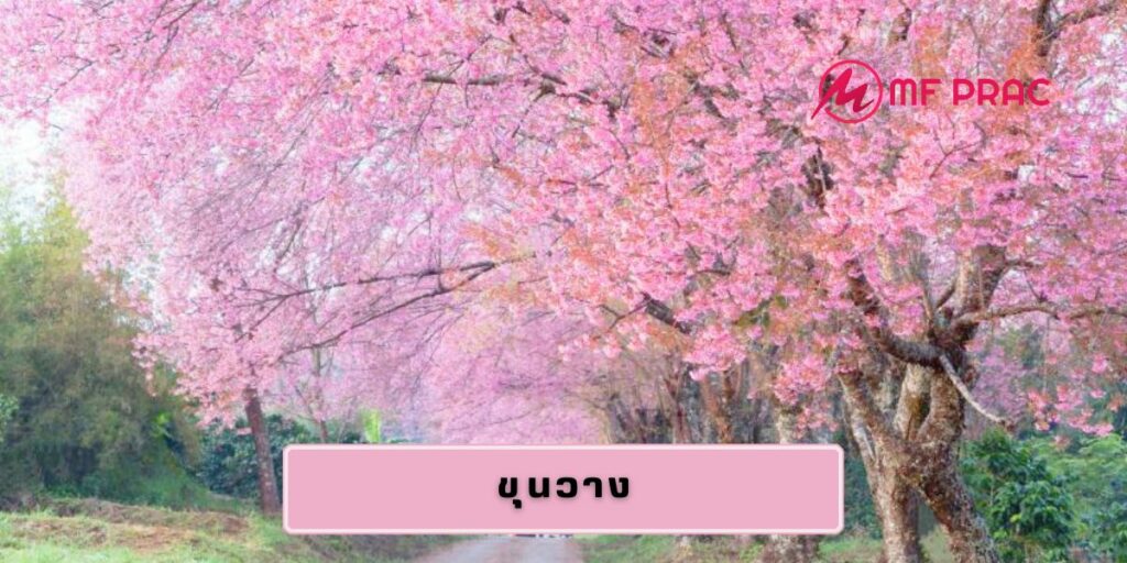 ขุนวาง
