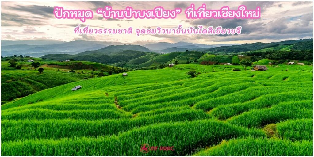 บ้านป่าบงเปียง