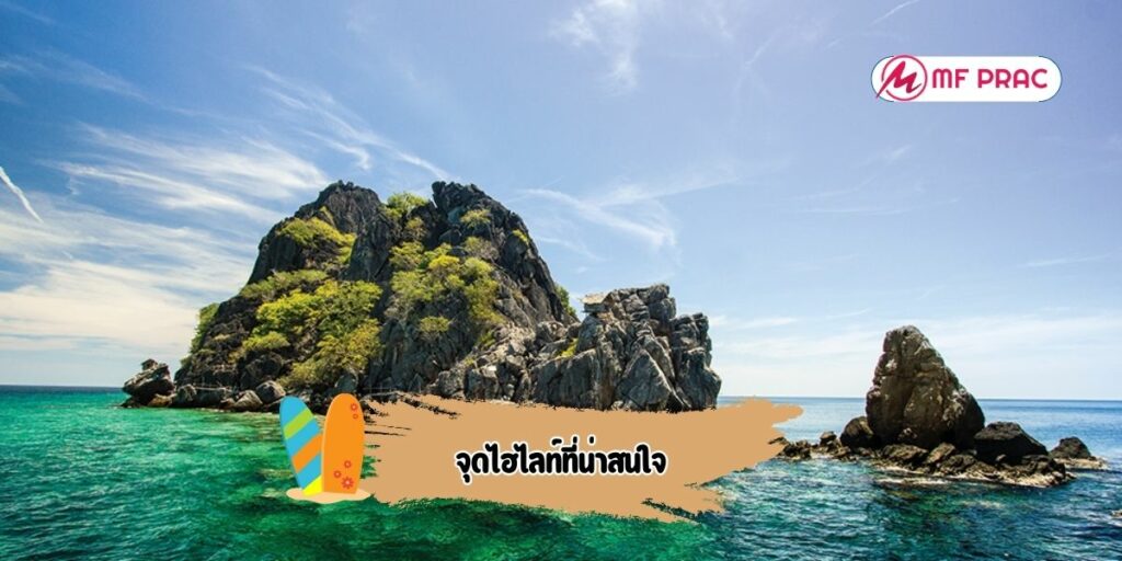 จุดไฮไลท์ที่น่าสนใจ