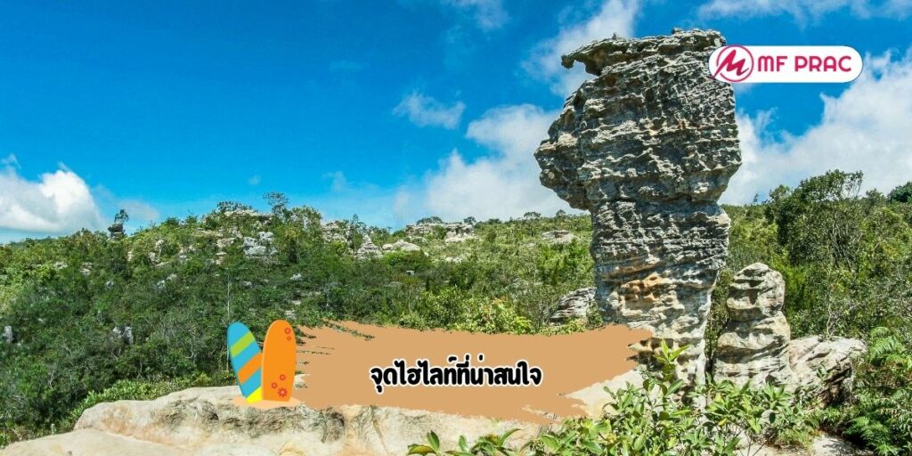 จุดไฮไลท์ที่น่าสนใจ