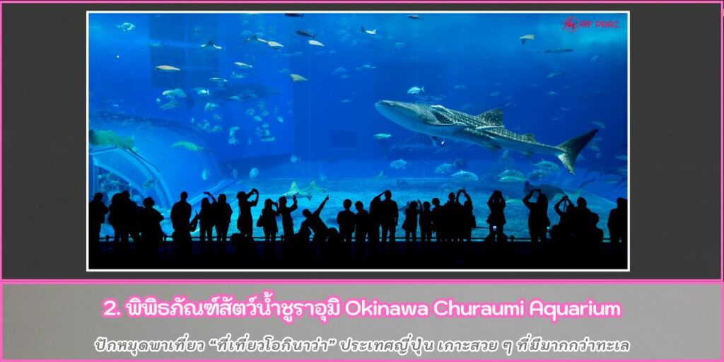 ที่เที่ยวโอกินาว่า