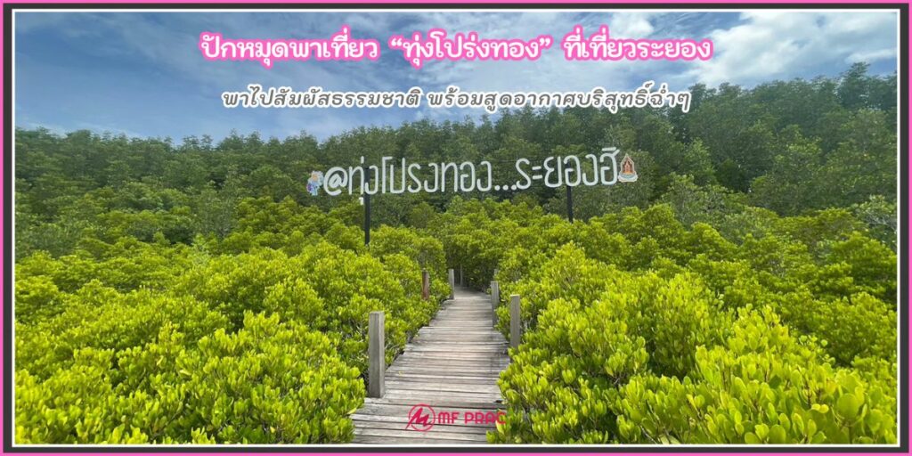 ทุ่งโปร่งทอง