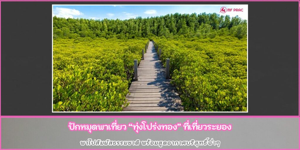 ทุ่งโปร่งทอง