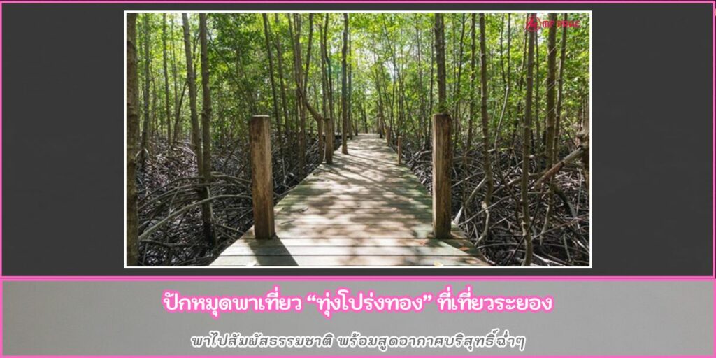 ทุ่งโปร่งทอง