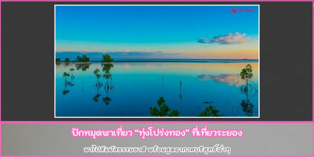 ทุ่งโปร่งทอง