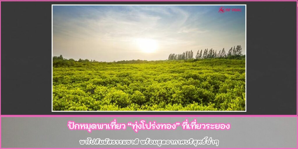 ทุ่งโปร่งทอง