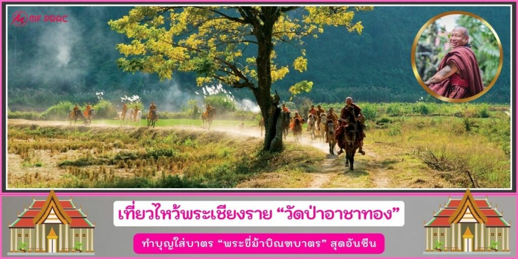 วัดป่าอาชาทอง