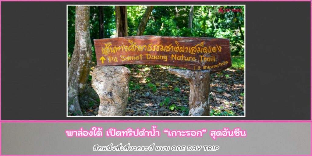 เกาะรอก