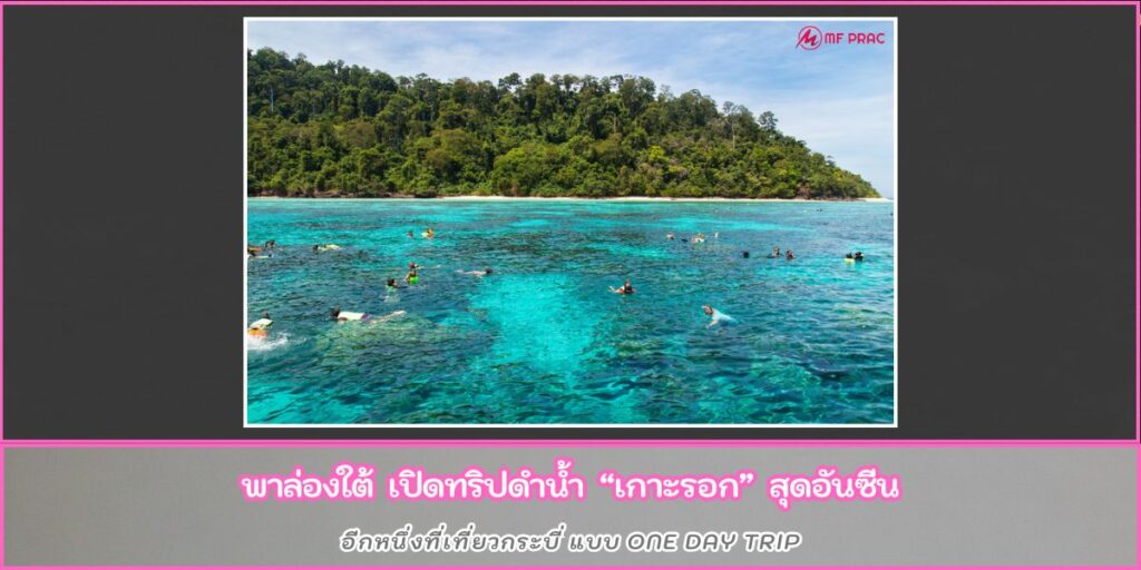 เกาะรอก