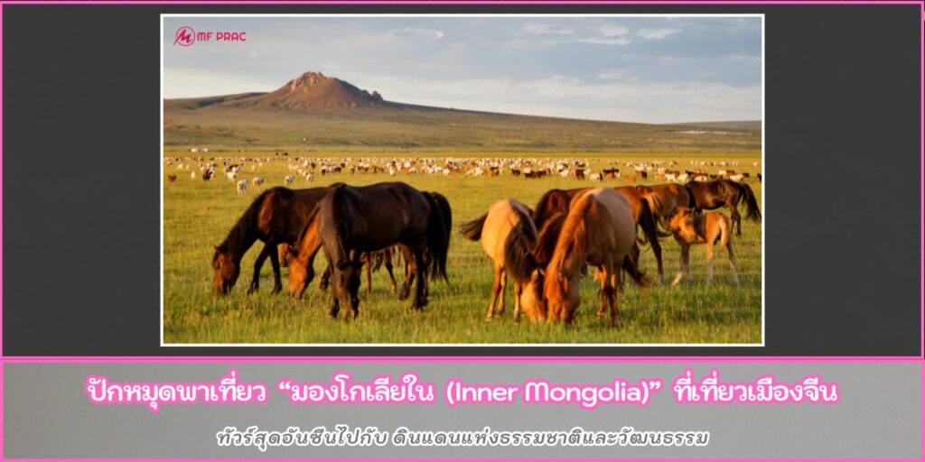 Inner Mongolia