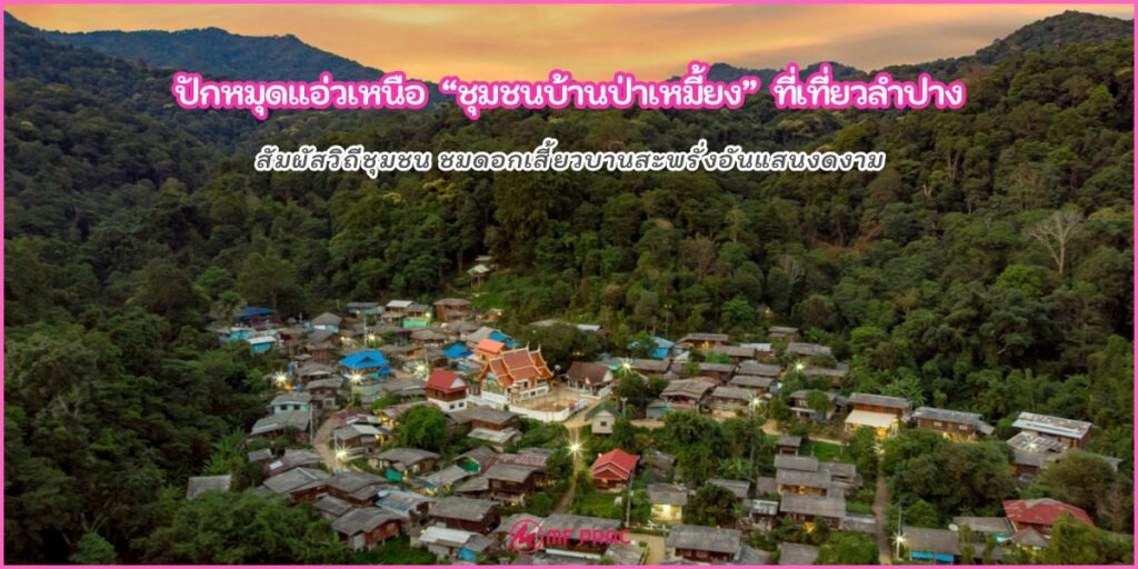 ชุมชนบ้านป่าเหมี้ยง