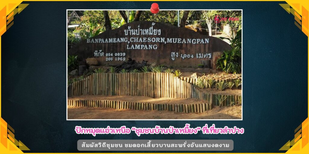 ชุมชนบ้านป่าเหมี้ยง