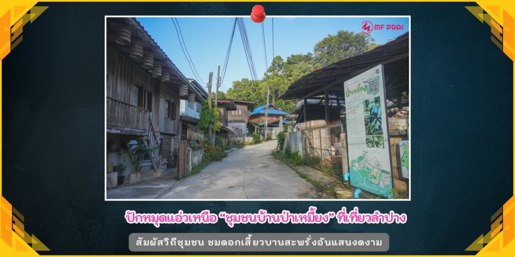 ชุมชนบ้านป่าเหมี้ยง