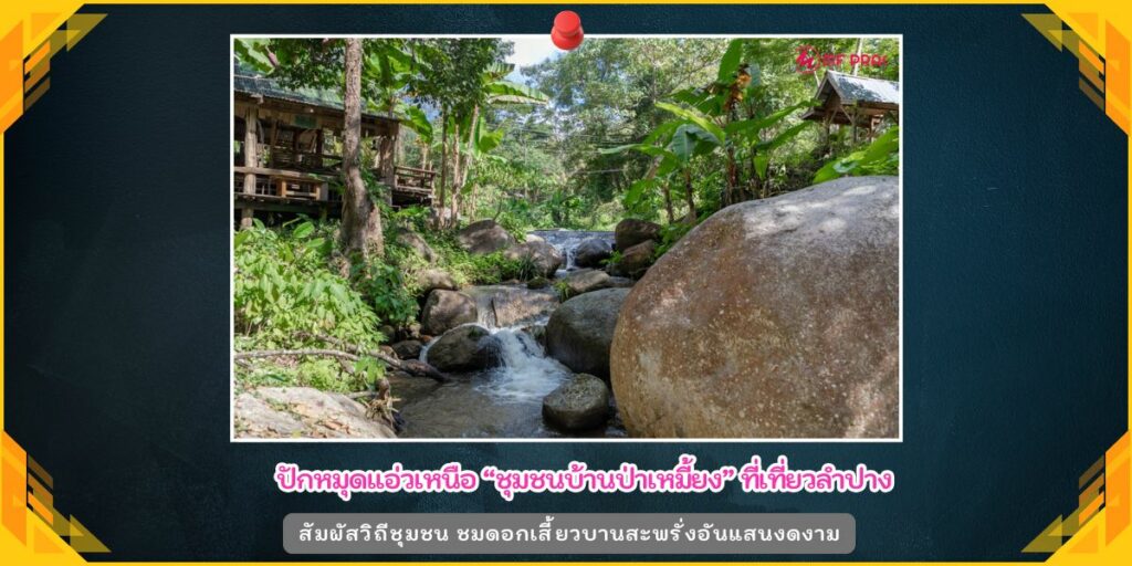 ชุมชนบ้านป่าเหมี้ยง