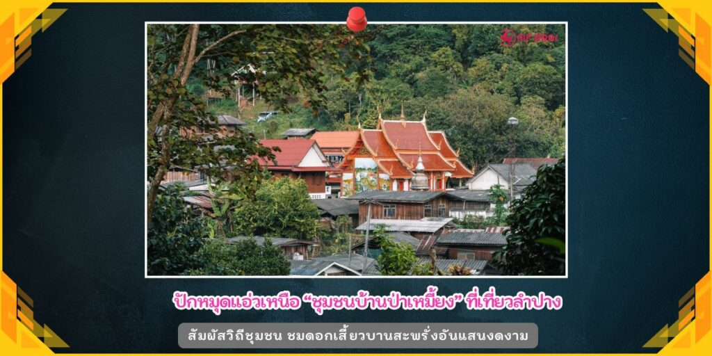 ชุมชนบ้านป่าเหมี้ยง