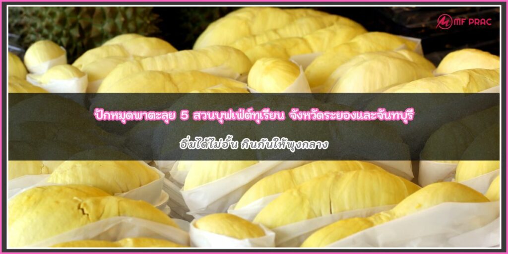 สวนบุฟเฟ่ทุเรียน
