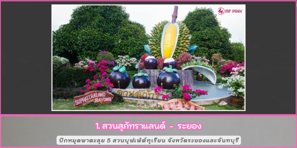 สวนบุฟเฟ่ทุเรียน