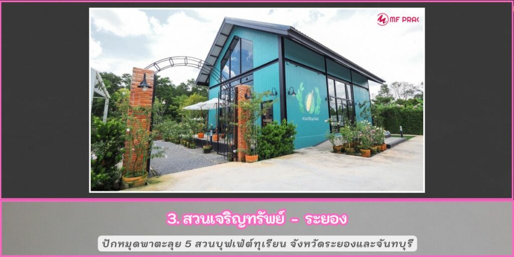 สวนบุฟเฟ่ทุเรียน
