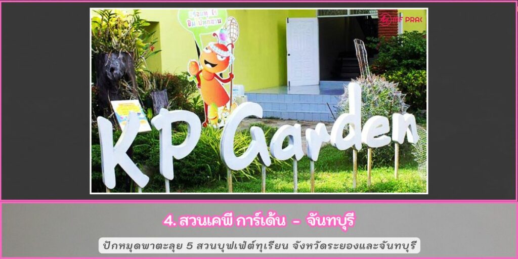 สวนบุฟเฟ่ทุเรียน