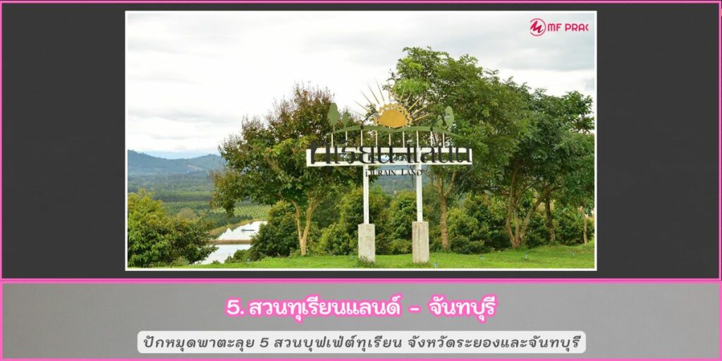 สวนบุฟเฟ่ทุเรียน