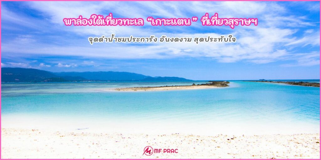 เกาะแตน