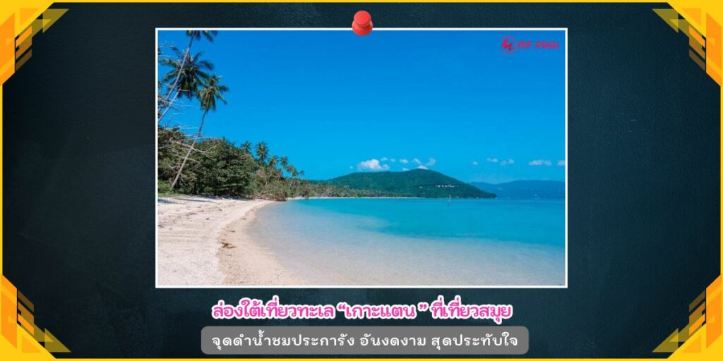เกาะแตน