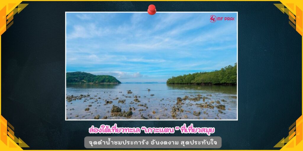 เกาะแตน