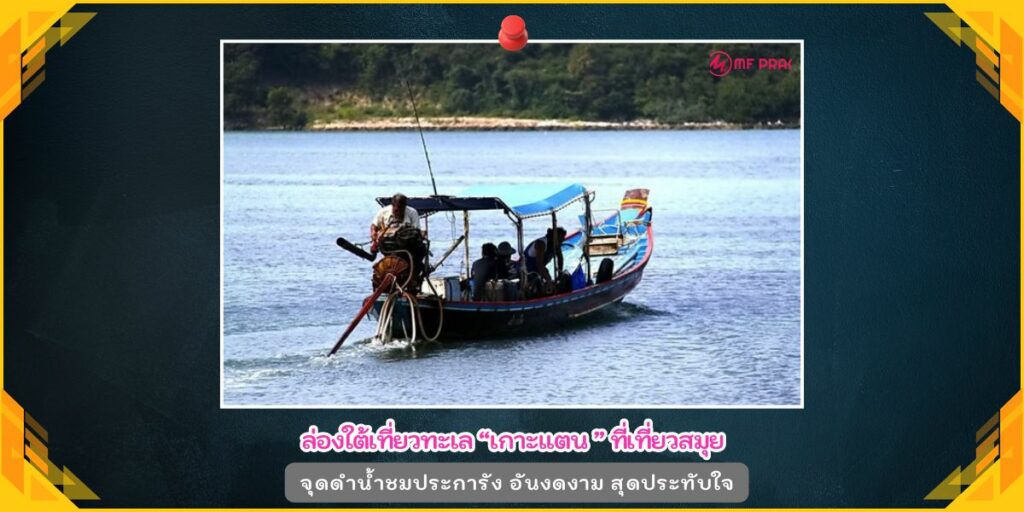 เกาะแตน