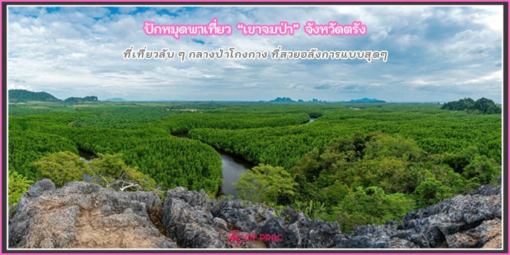 เขาจมป่า