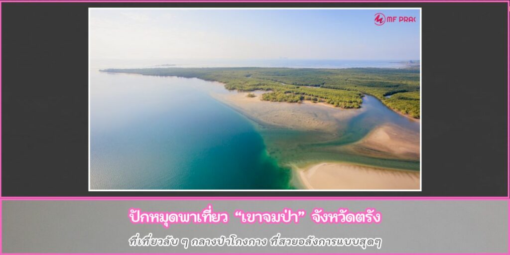 เขาจมป่า