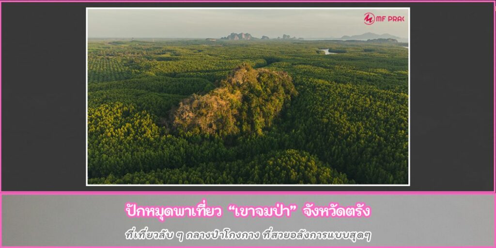 เขาจมป่า