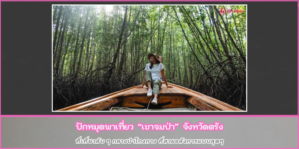 เขาจมป่า