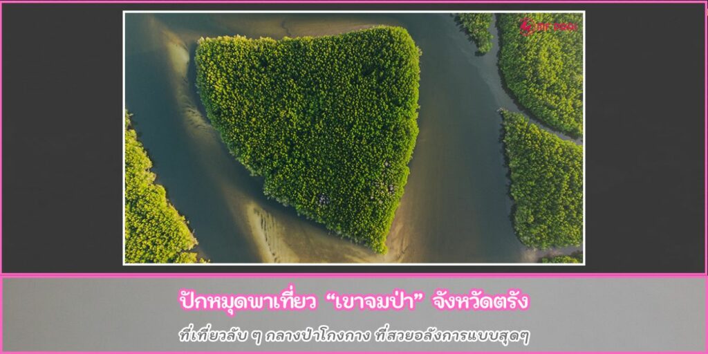 เขาจมป่า
