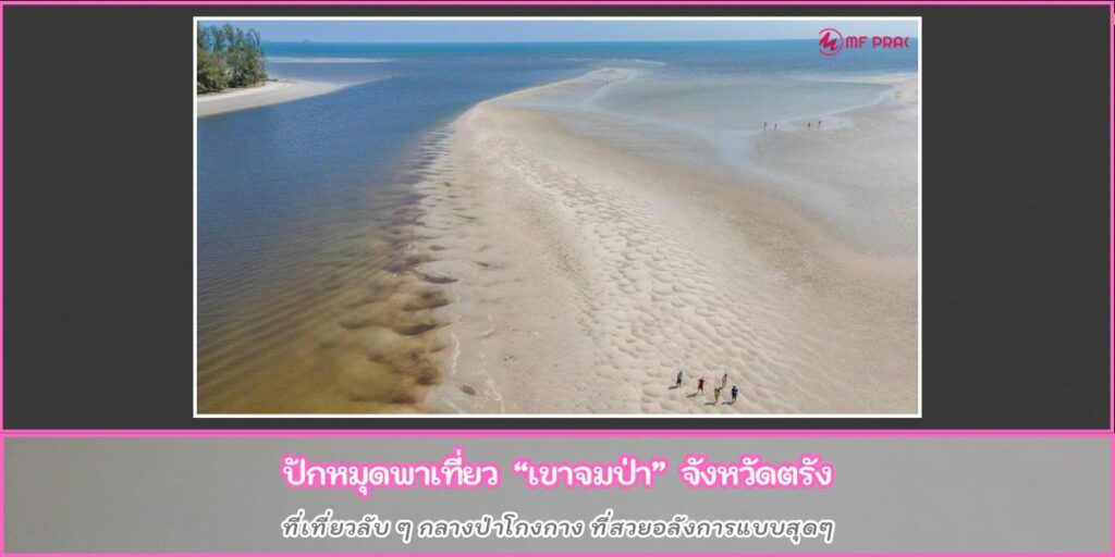 เขาจมป่า