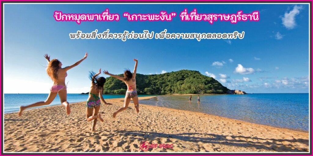 เกาะพะงัน