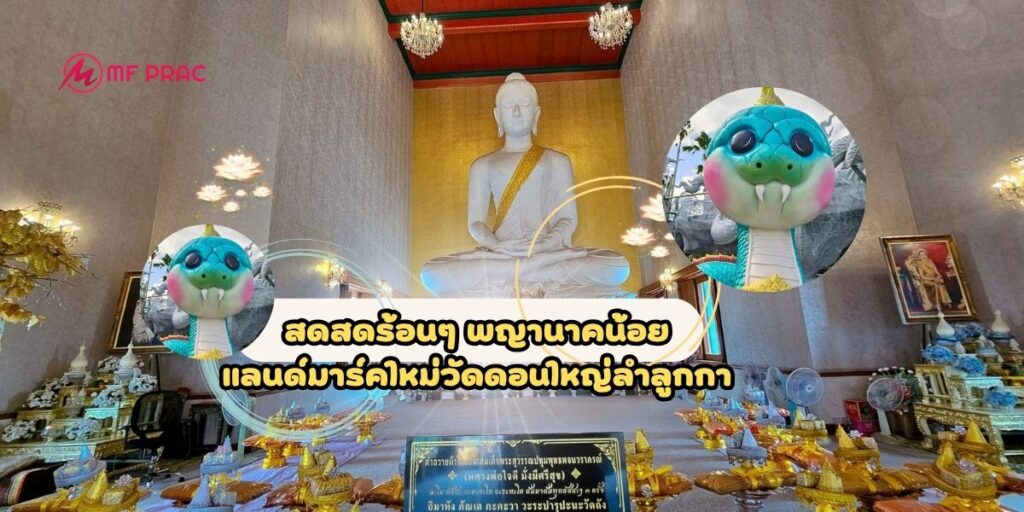 สดสด