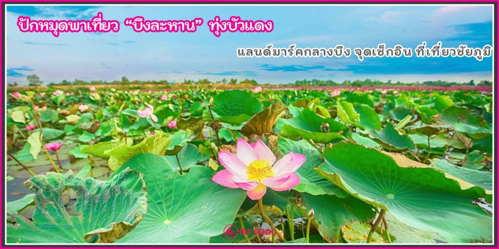 บึงละหาน