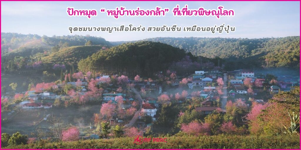 หมู่บ้านร่องกล้า