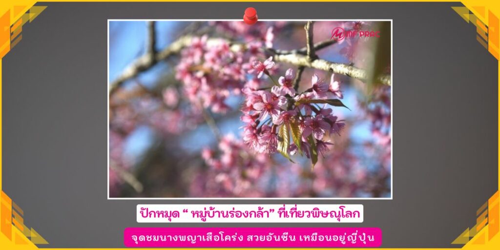 หมู่บ้านร่องกล้า