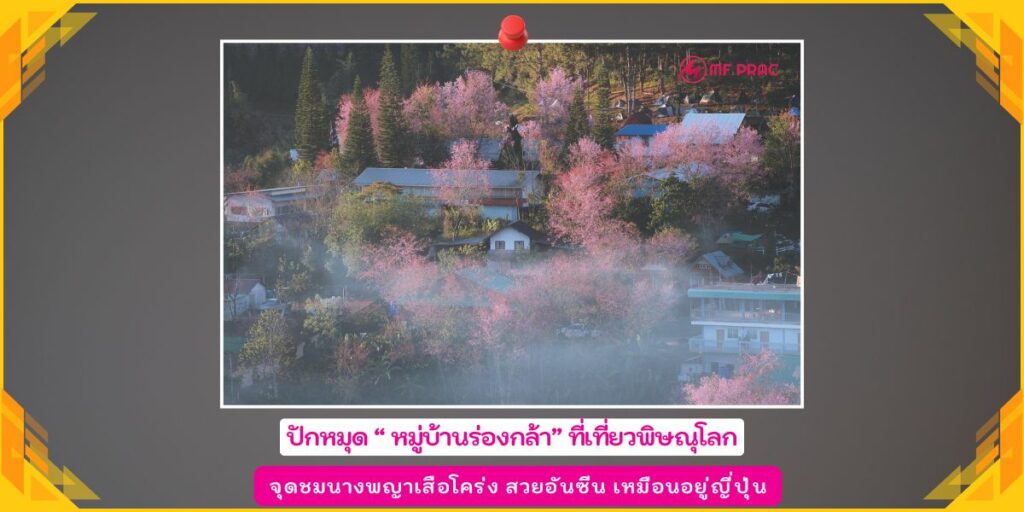 หมู่บ้านร่องกล้า